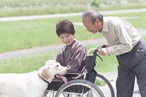 硝子体手術にも対応する葛飾区の眼科医院