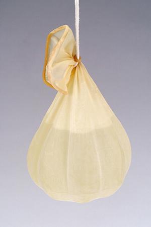 家族の歯の健康を守る！大牟田市で選ぶべき歯科医院のポイントとおすすめ治療法