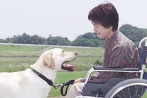 【2026年最新】平尾で評判の歯医者ベストガイド！選び方と口コミ徹底比較