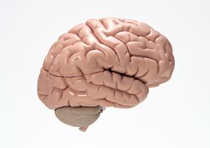 清水区で歯医者を選ぶ際の注意点とは