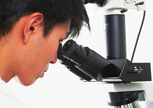 横須賀で信頼できるインプラント治療を実現！2026年最新の安心と技術を比較紹介