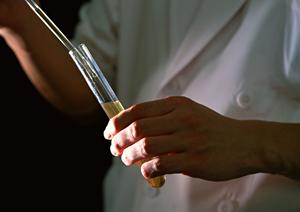 千葉で体外受精を検討してみよう