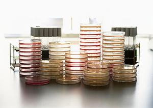 田町の不妊治療は検査機器も豊富