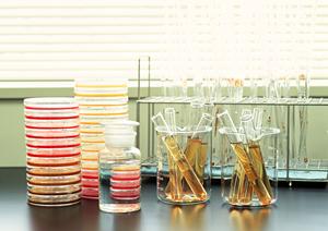 お肌の相談はつくばの竹園皮膚科医院